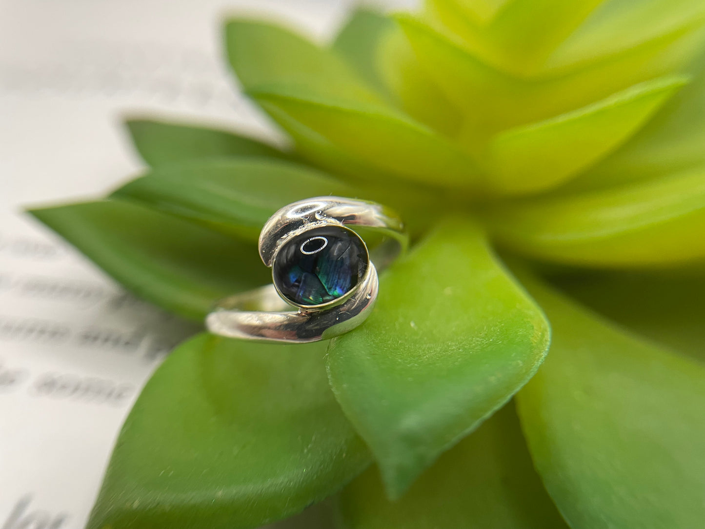 Swirl Ring with Shell – Size 8 US