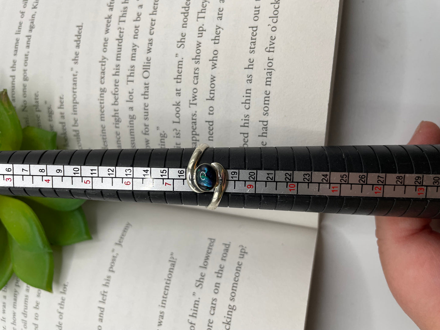 Swirl Ring with Shell – Size 8 US