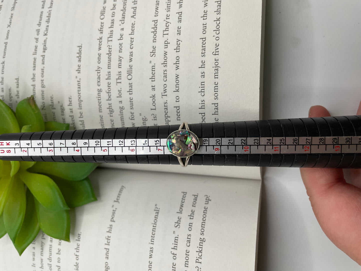 Split Shank Ring with Shell  – Size 8 US