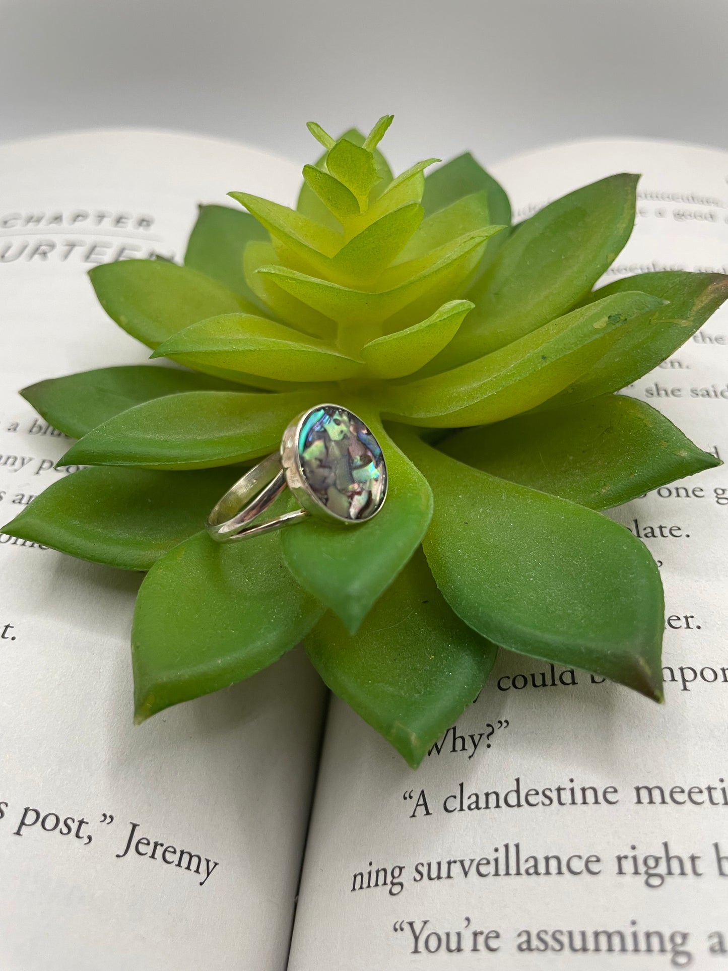 Split Shank Ring with Shell  – Size 8 US