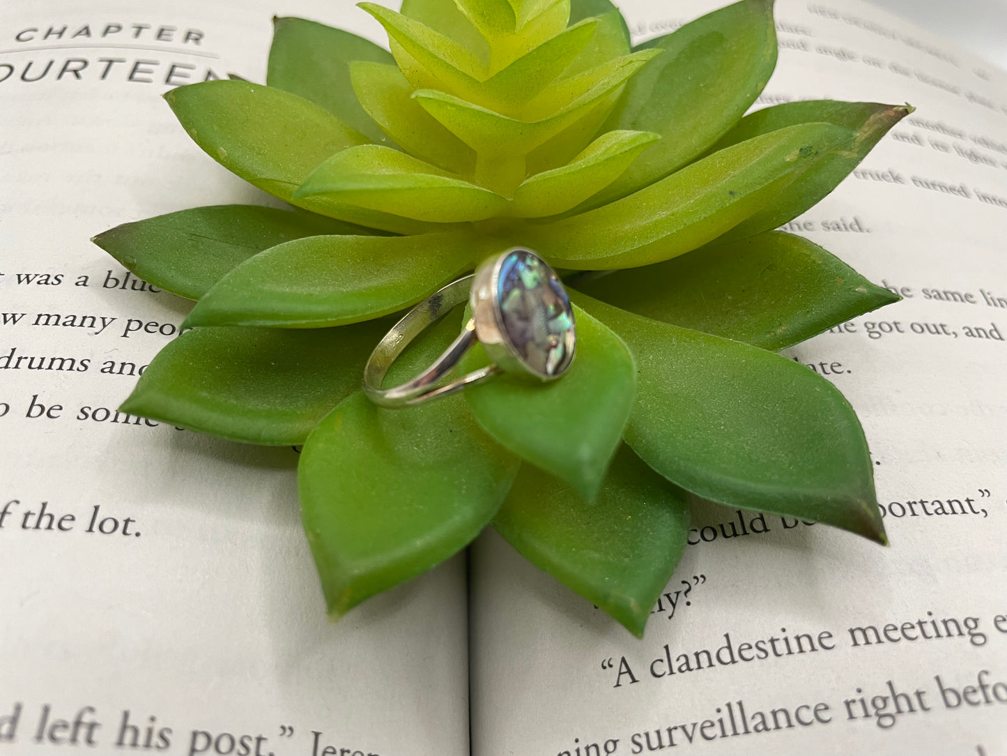 Split Shank Ring with Shell  – Size 8 US