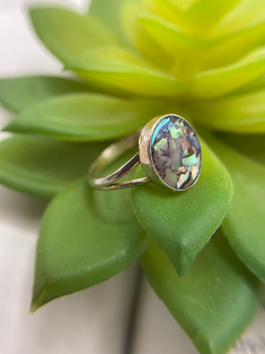 Split Shank Ring with Shell  – Size 8 US