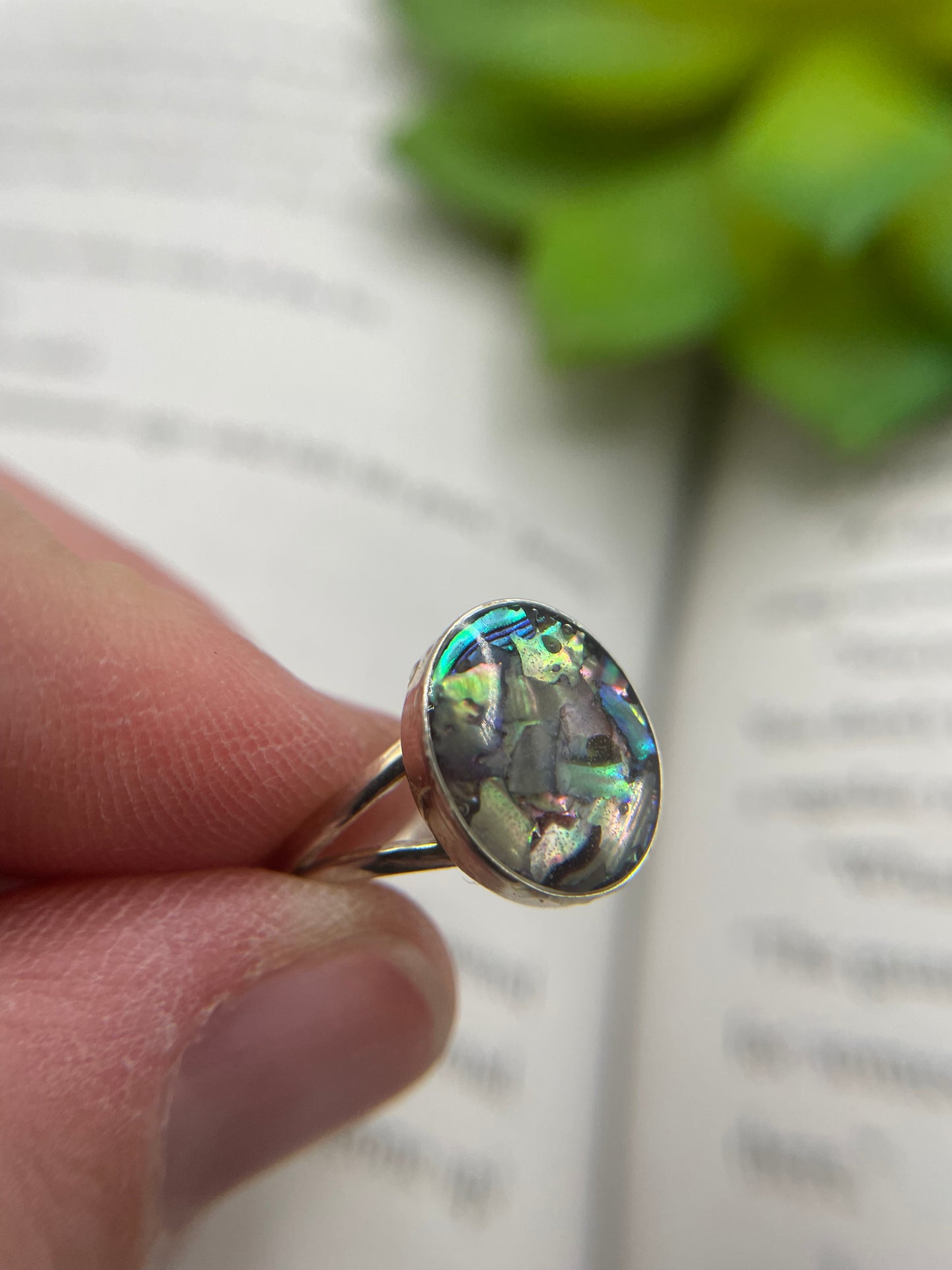 Split Shank Ring with Shell  – Size 8 US