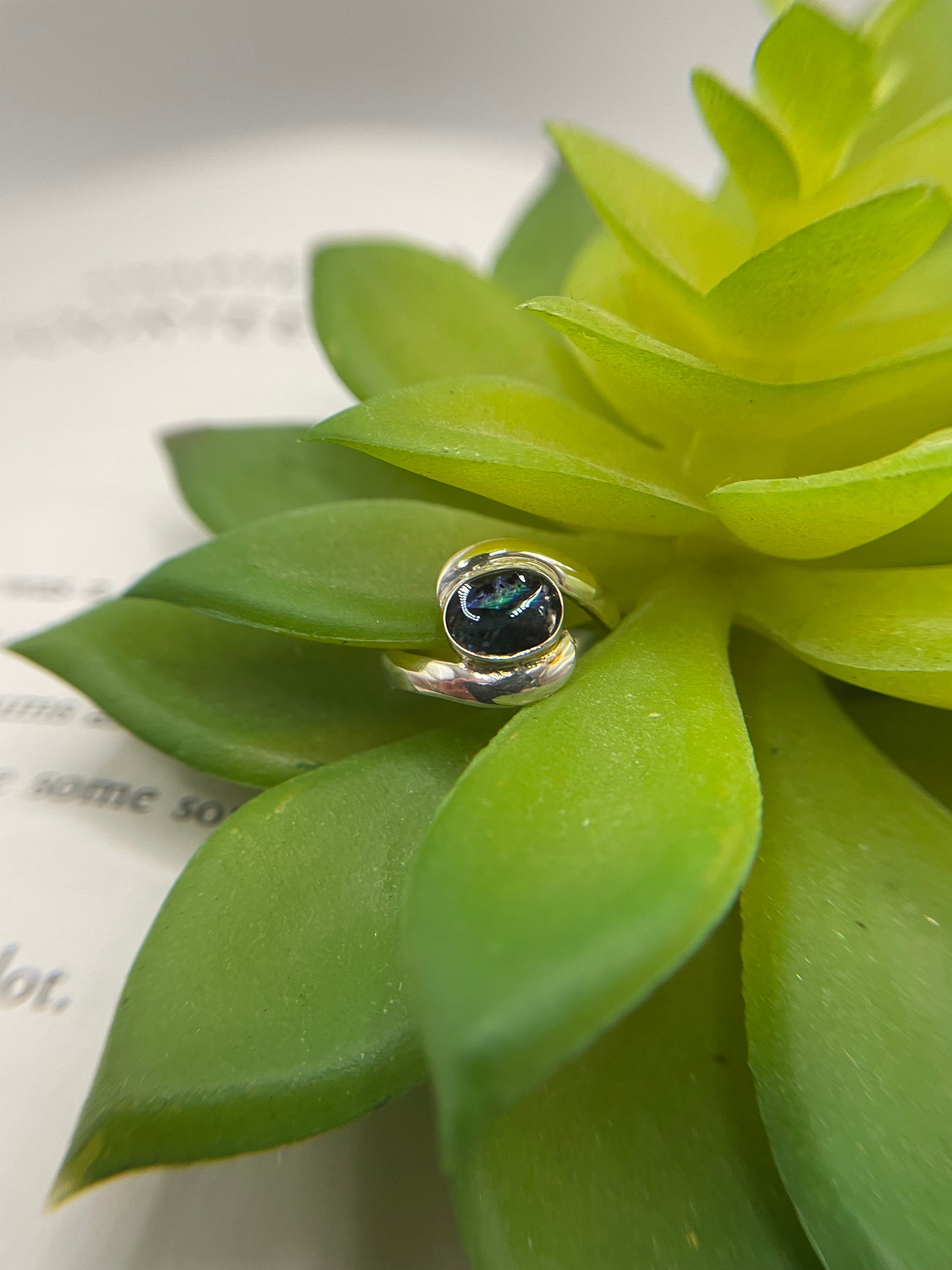 Collet Silver Oval Shell Ring – Size 4½ US