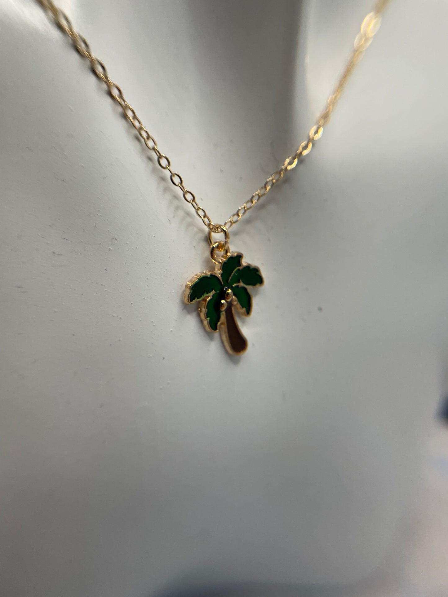 Ensemble Palmier -19"Sans nickel