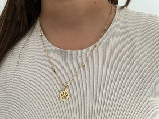 Collier empreinte animale or-19'' Acier inoxydable