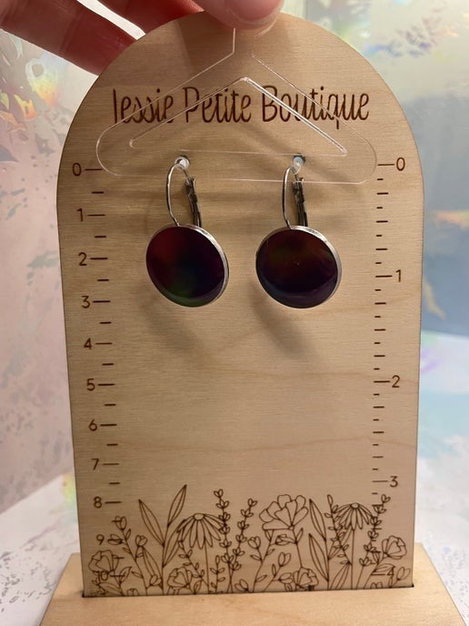 Northern Light Glow in the Dark Leverback Earrings – STAINLESS STEEL