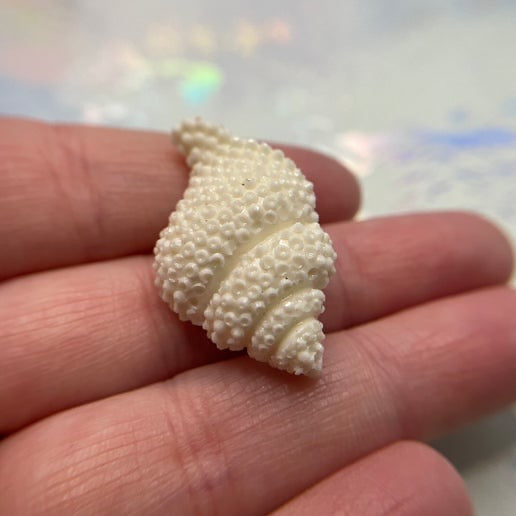 Shell-Shape Resin Earrings – Nickel-Free