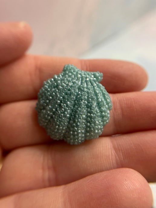 Light Blue Resin Shell Stud Earrings - Nickel Free