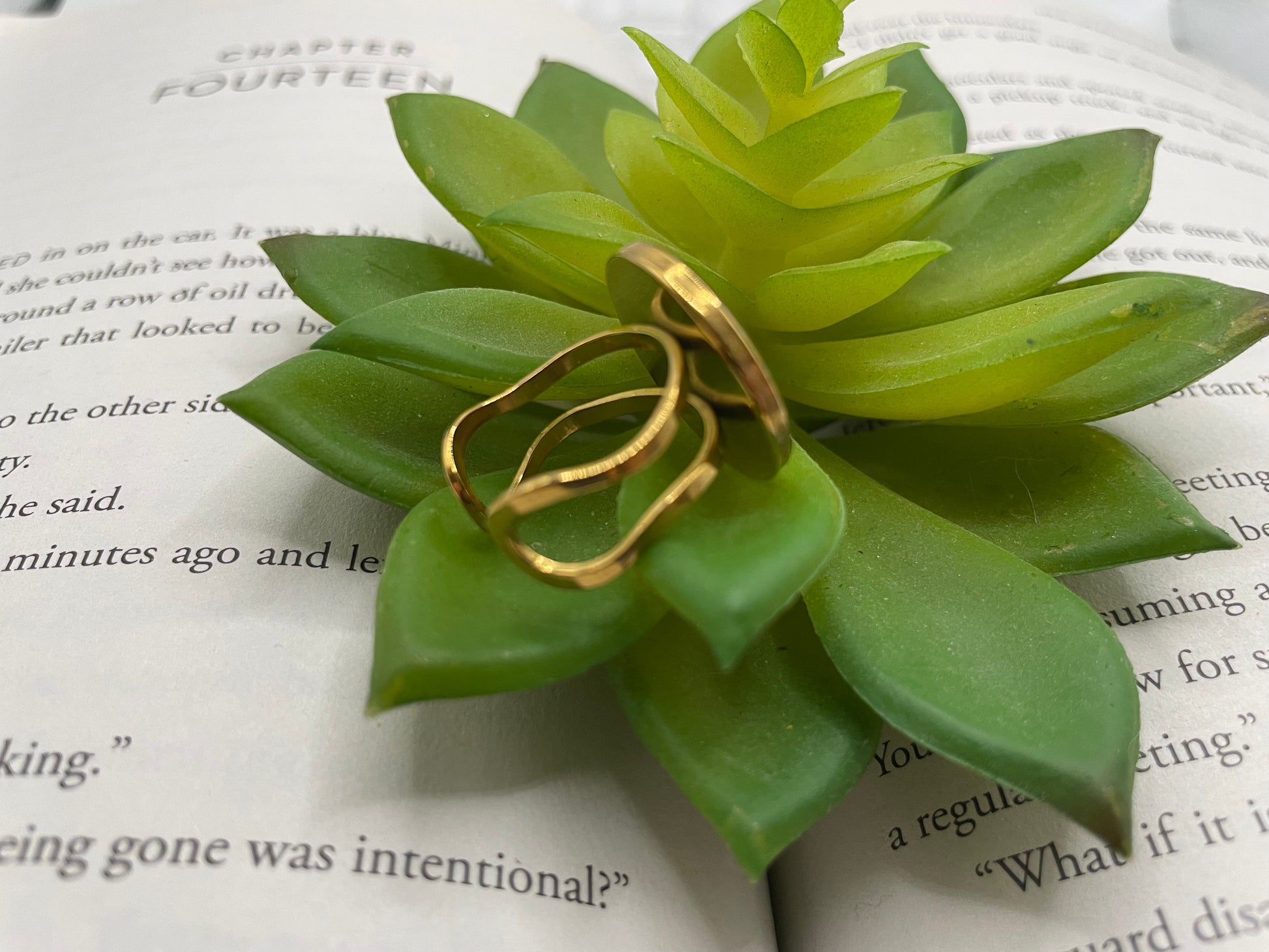 Green succulent plant with gold ring on top of a book
