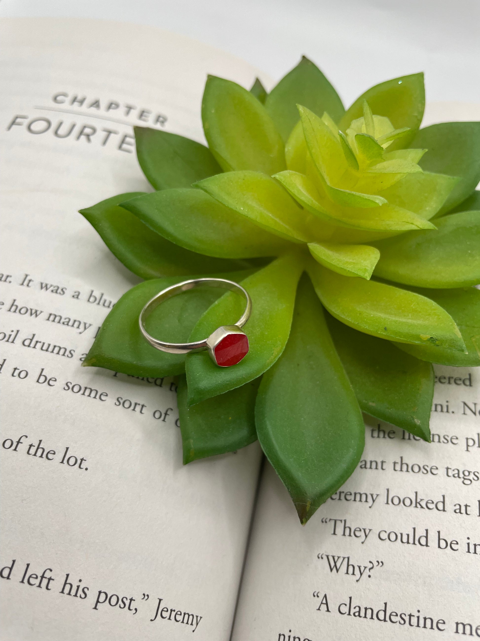 Green succulent plant with a silver ring on top, placed on an open book.