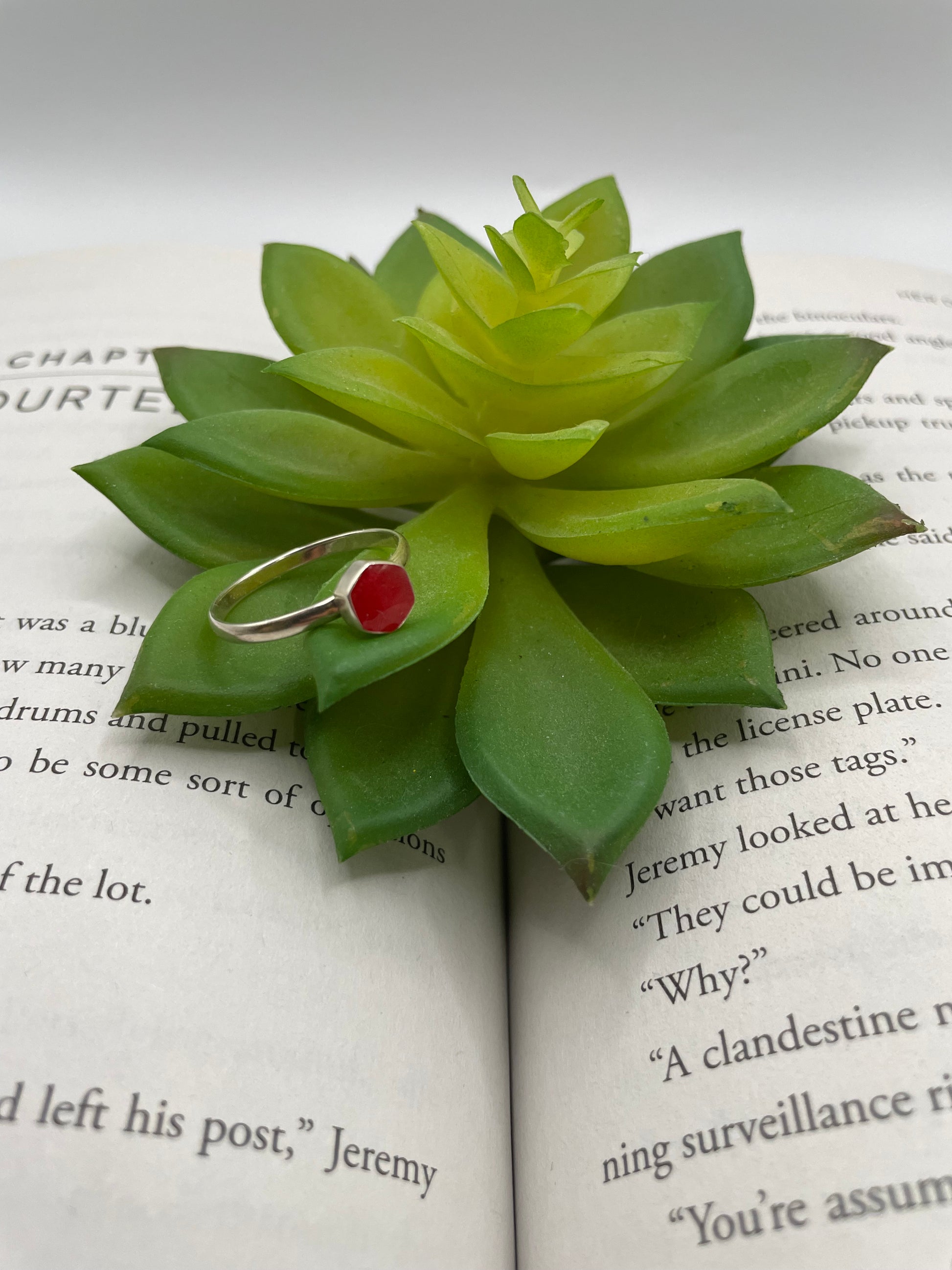 Green succulent plant with a red gemstone on an open book