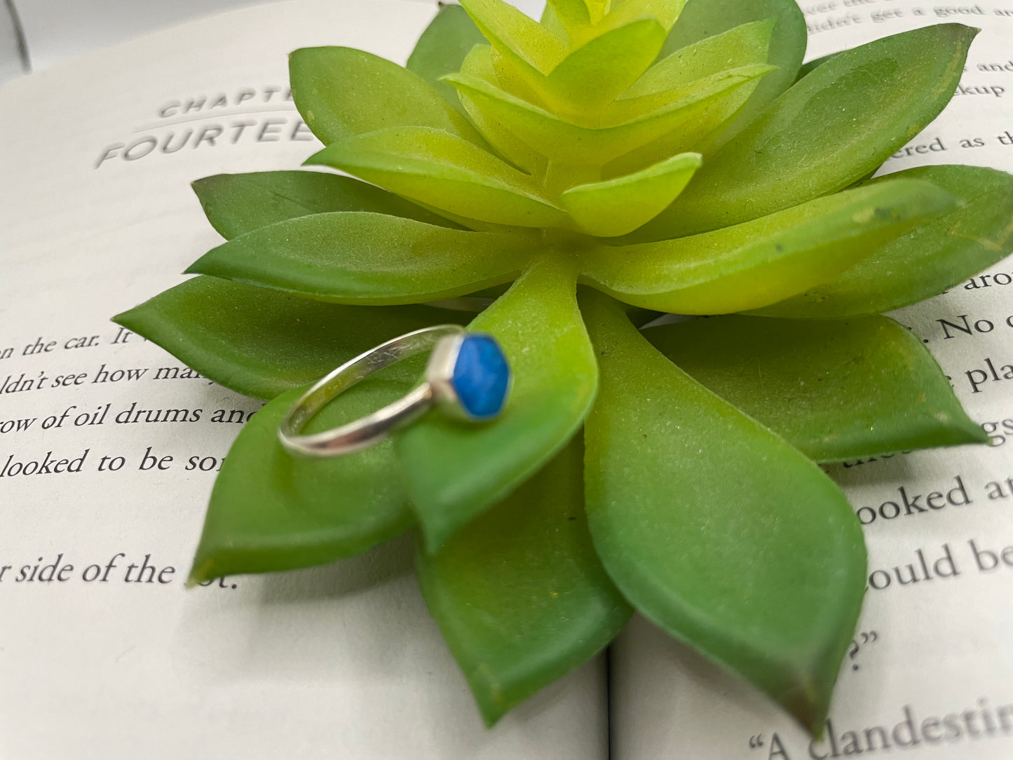 Ring with a blue stone on a green succulent leaf
