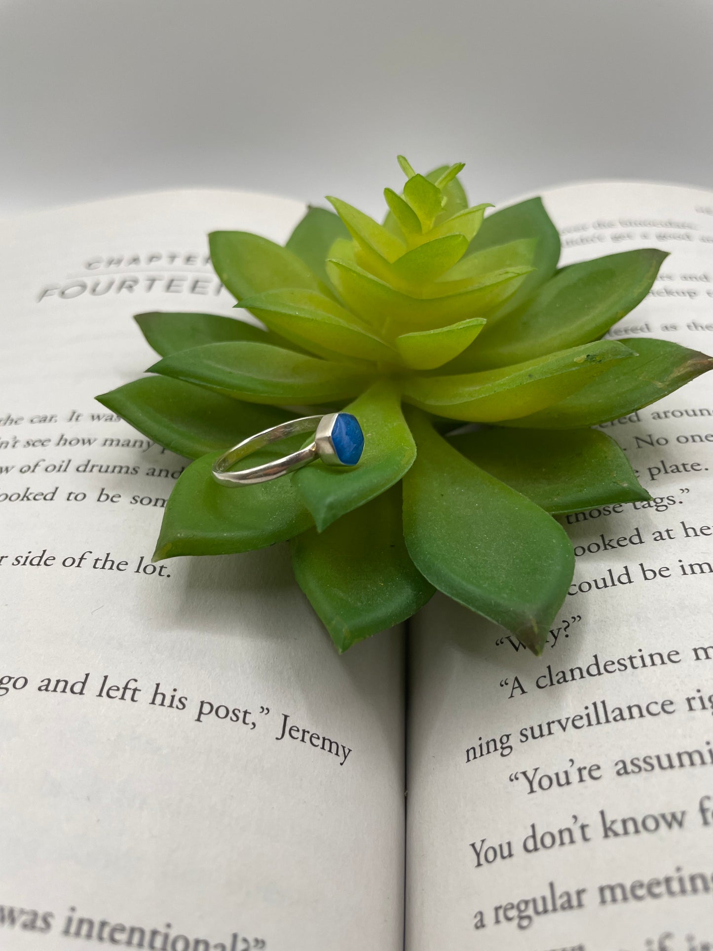 Green succulent plant with a silver earring featuring a blue stone on top of a book.