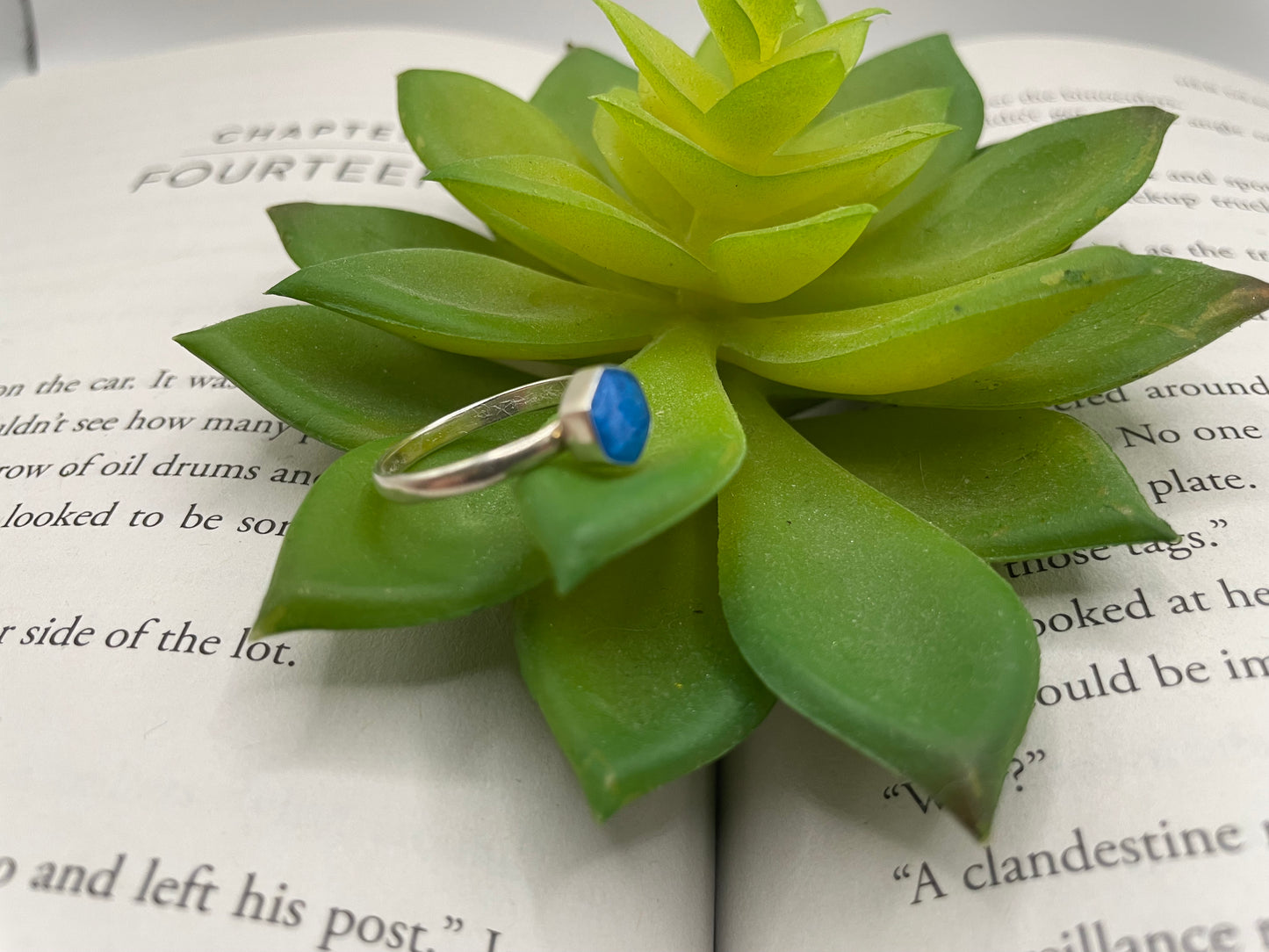Green succulent plant with a silver ring featuring a blue stone on top of an open book.