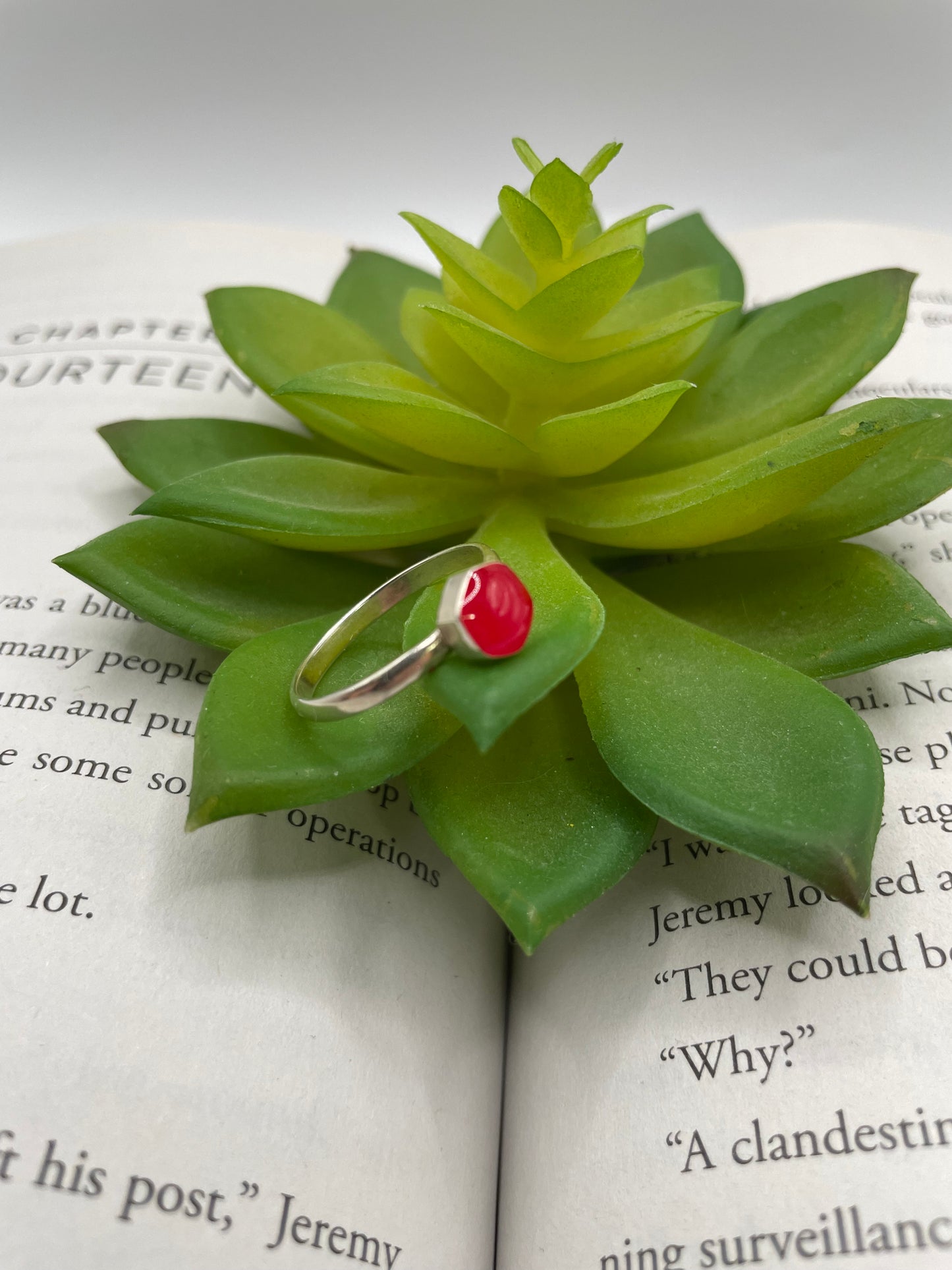 Silver ring with a red stone on a green succulent leaf over an open book